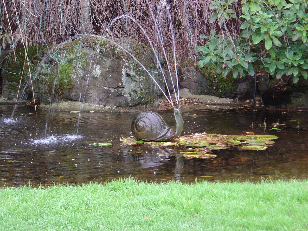 snail