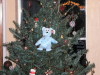 Hanukkah Bear