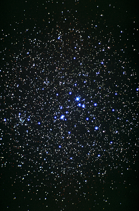 IC 2391