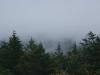Fog near Saanich in BC (1)