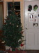 Christmas Tree [1]